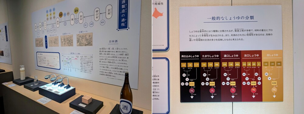 発酵の展示