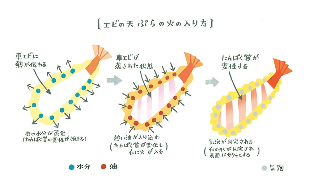 ryo0025illustration