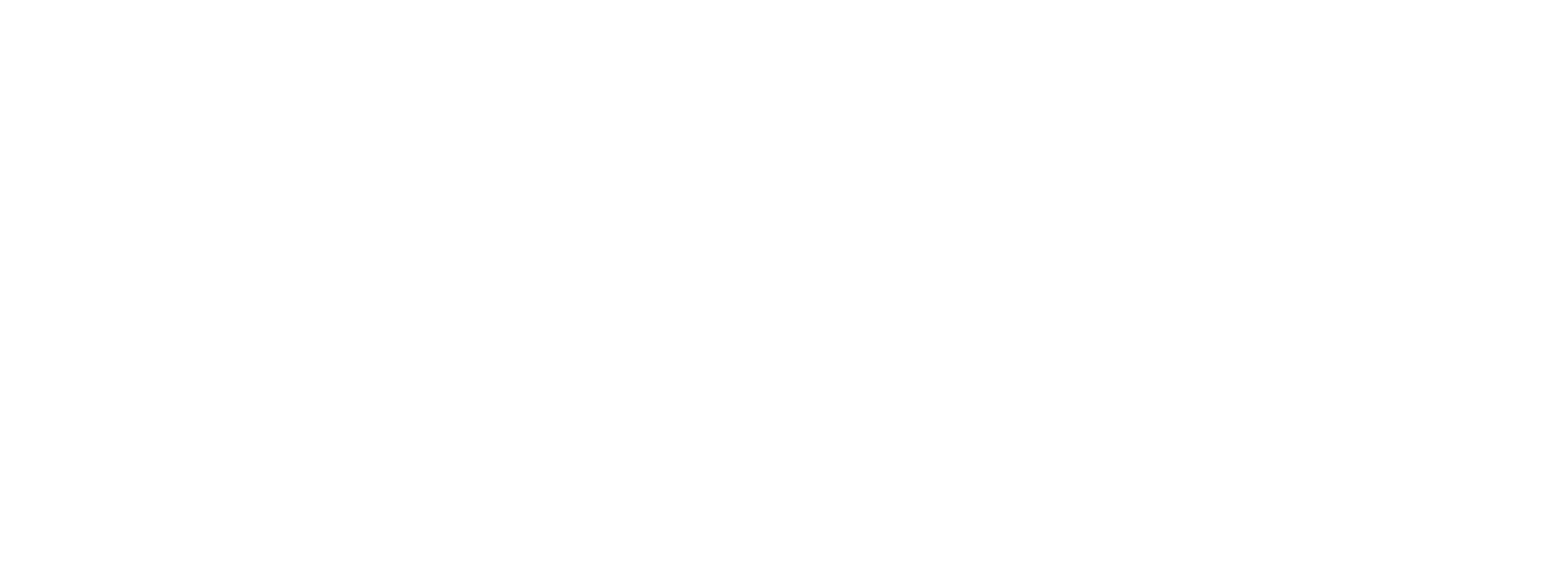 ニュースな和食店